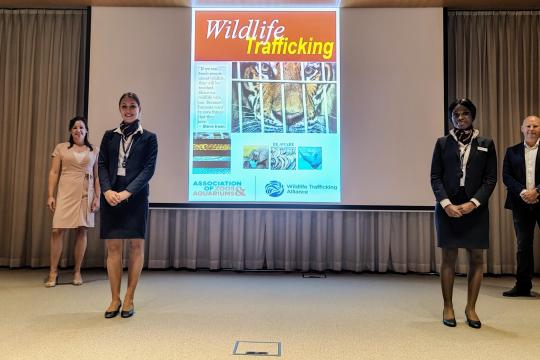 Stage in de mix Wildlife Trafficking